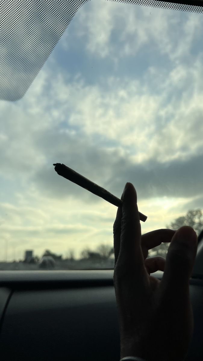 Weed_Twts's tweet photo. i got 99 problems and 420 solutions 🍃💨 https://t.co/QqP7nBWtxn