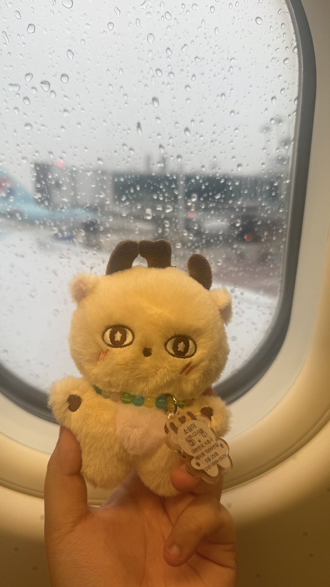yereeum's tweet photo. ✈️✈️ https://t.co/I8dUTRaJux