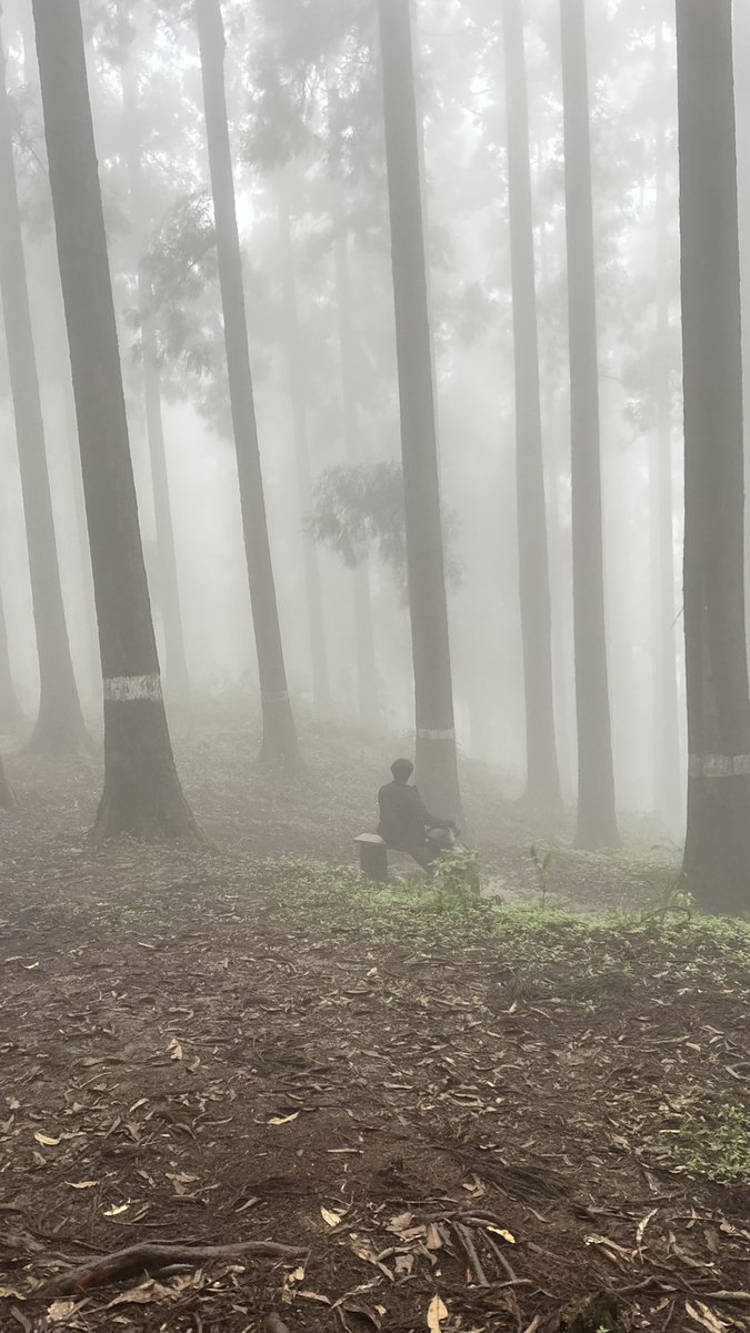WriddhiMoitra's tweet photo. 🌲 https://t.co/pm0hCXjUH6