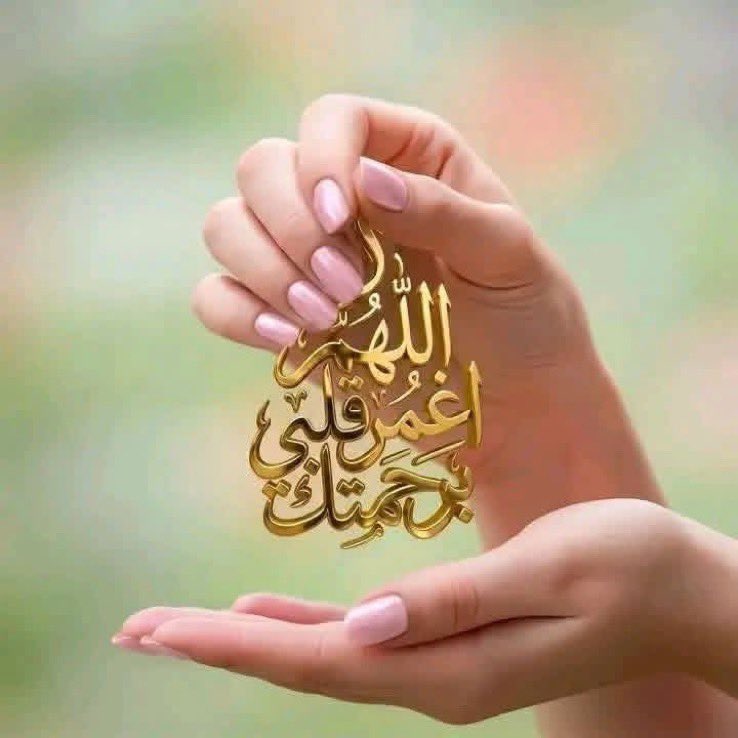 adel73467641's tweet photo. 🍀

ماهو كلام الذهب

هذا كلام الذهب https://t.co/ZzKGLQz5Ve