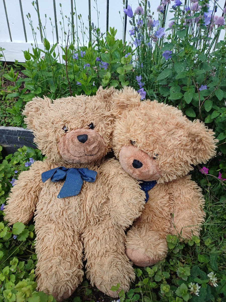 Hunajatassu1's tweet photo. Hyvää Juhannusta!
#halinalle #Hunis #Muru #midsummereve https://t.co/sI4B1H5XTJ