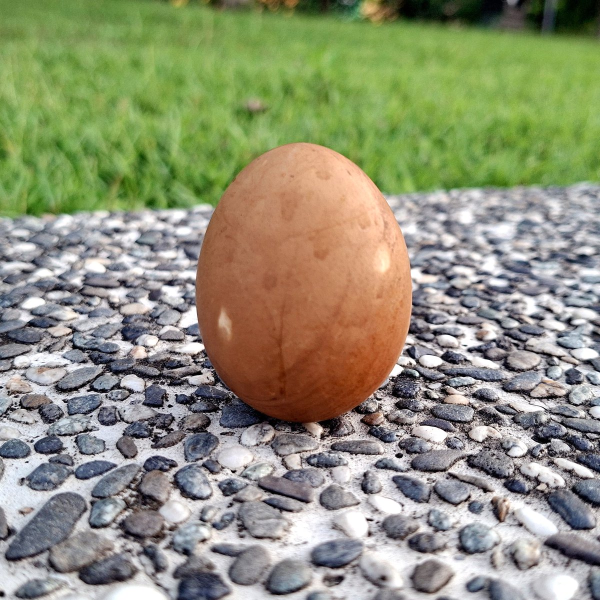 mr_1494's tweet photo. 端午節，立茶葉蛋。🥚

#端午 #立蛋 #茶葉蛋 https://t.co/X3w9YGSKfp