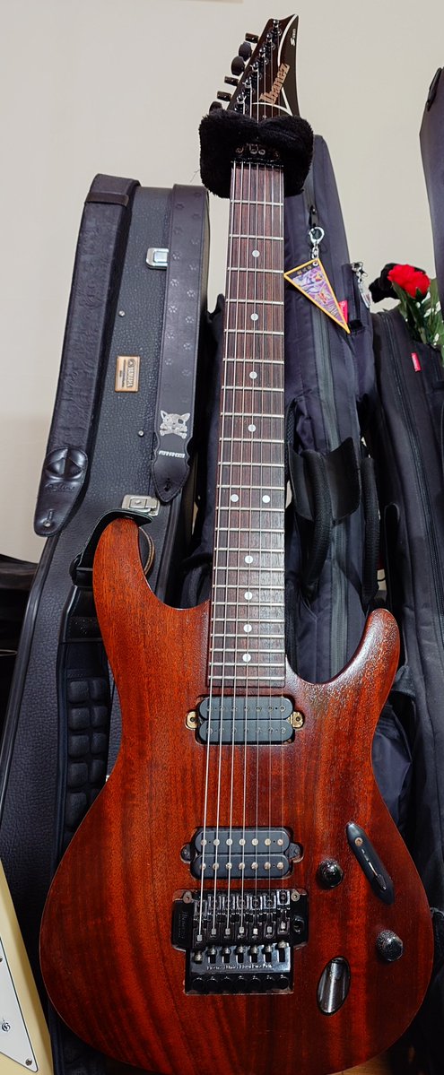AOS_0516's tweet photo. 昨日my new gear...してしまった

Ibanez S7420

なんか宣材写真よりだいぶ暗い色してるんだが
ミディアムスケールのSシリーズの7弦とか実在したのかよと思って注文するしかなかった
とりあえずPUはダンカンに取り替えたい
あとアーム付いてないので注文する
D-tunaもほしいけどブリッジ取り替えになる https://t.co/WoRUKHHecQ