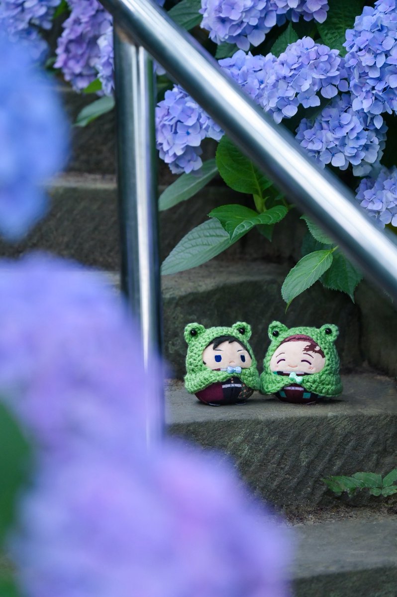 fujiwowowo3's tweet photo. 🐸🐸☔️ https://t.co/bhSqHDpiAj