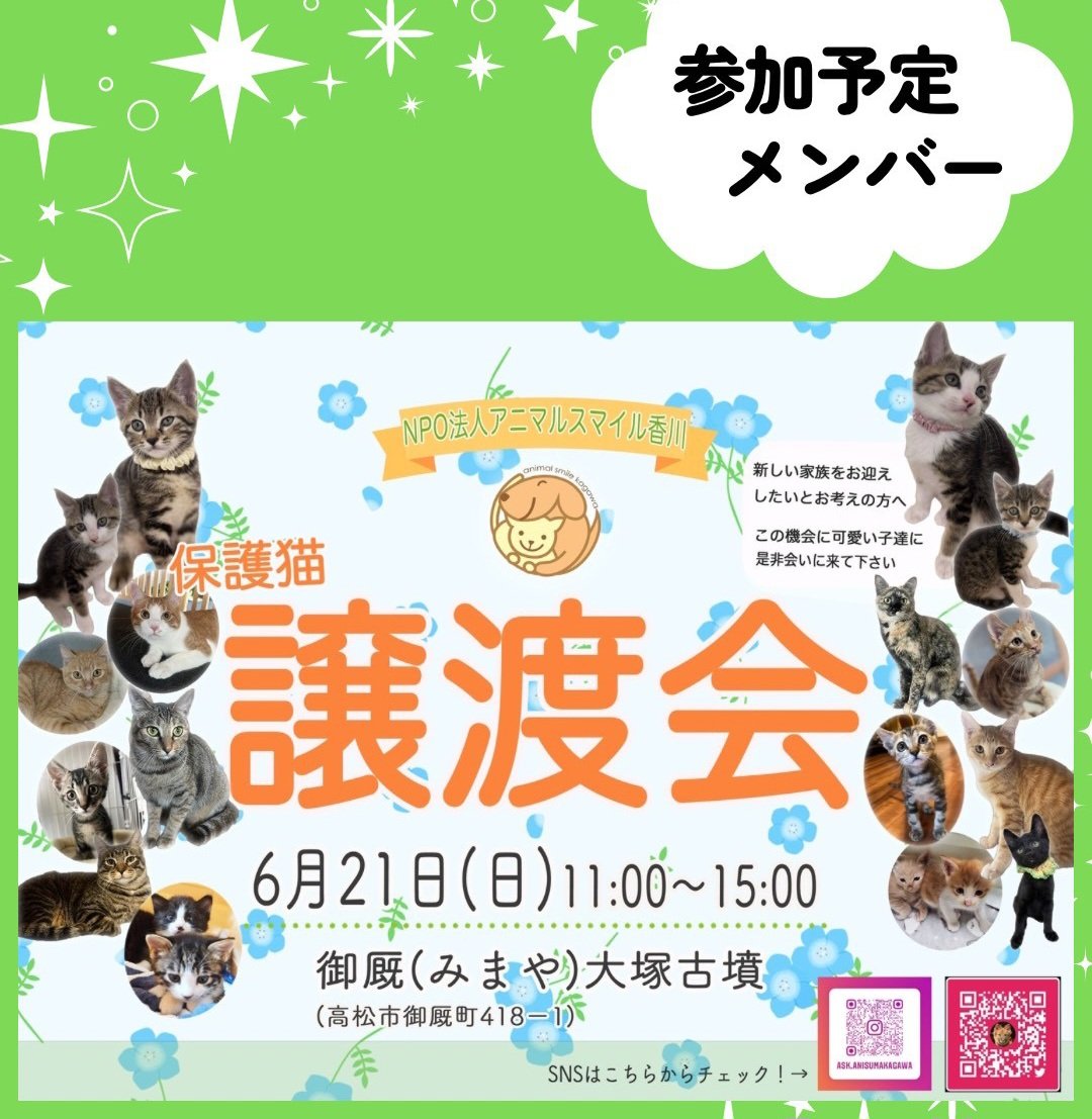 animalSmileKGW's tweet photo. 📣譲渡会のお知らせ📣
香川県高松市みまや町にて
保護猫の譲渡会があります🐱

過酷な環境に生まれ
助かった愛おしい命たちです。

幸せにしてくださるご家族に
つながりますように🙏 https://t.co/tgykjs9xi6