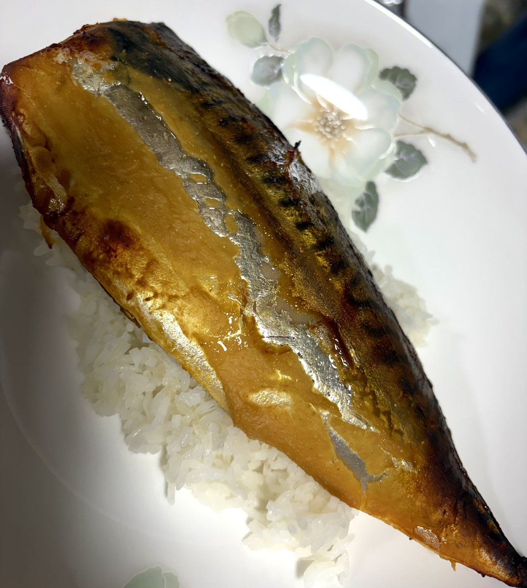 coco_chappyun's tweet photo. let's all pretend there's a vegetable on the plate π§π»ββοΈ
tried out a miso-mackerel kinda situation for #fishthursday !!! i think i prefer it plainly salted tho... https://t.co/IMOMJdR9SD
