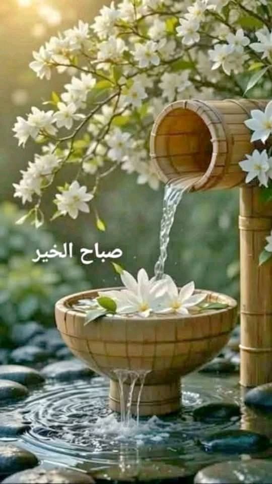 hnanpl's tweet photo. #صباح الخيررر https://t.co/YzllIQC8wW