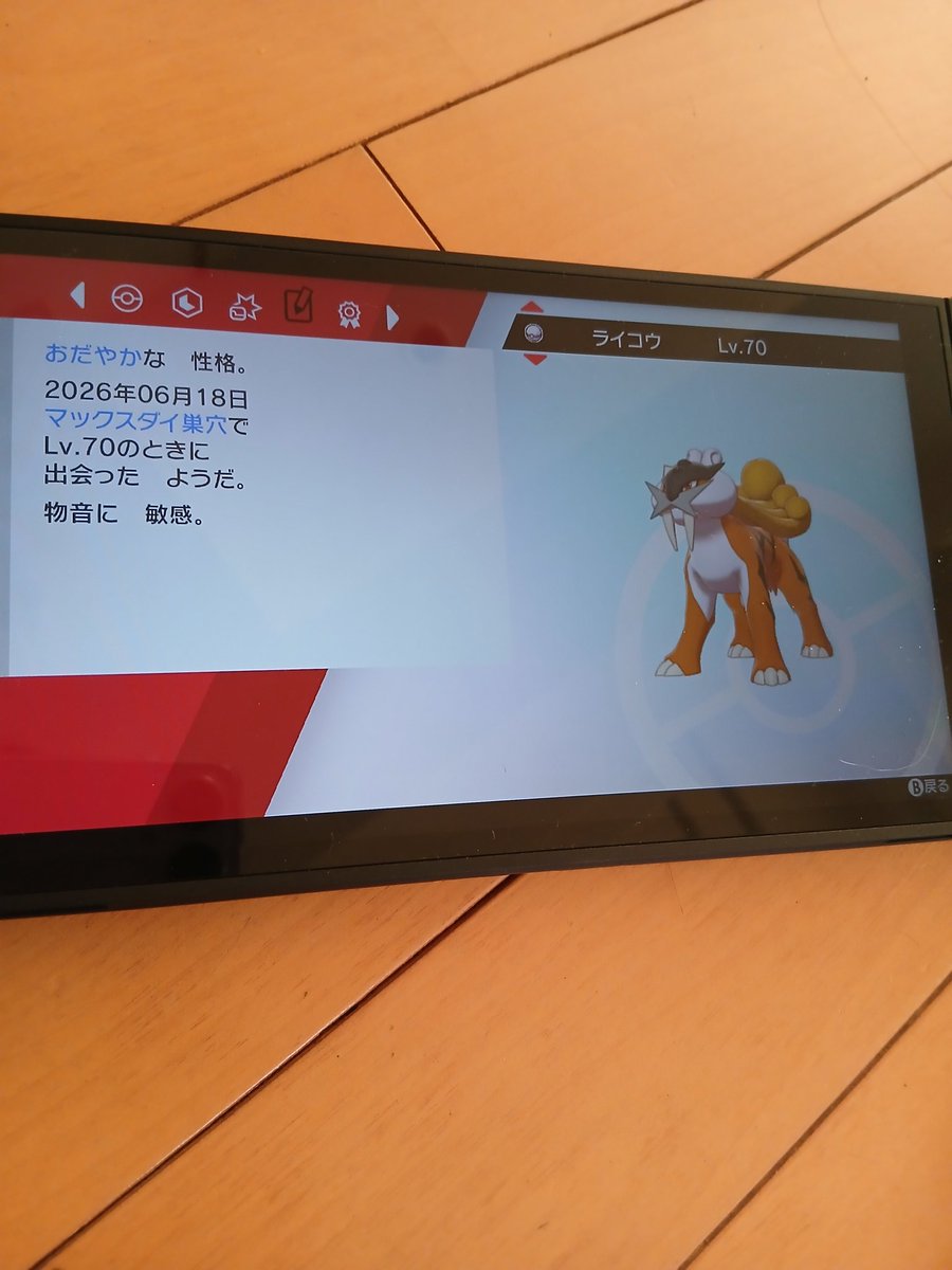 msy17854's tweet photo. 続き
ソロ固定ルートです。
同じ日にでた
ライコウは8回で光りました
#ポケモン色厳選 
#色厳選   #ダイアド
#ポケモン剣盾 
#ダイマックスアドベンチャー https://t.co/QXWbKOTgwQ