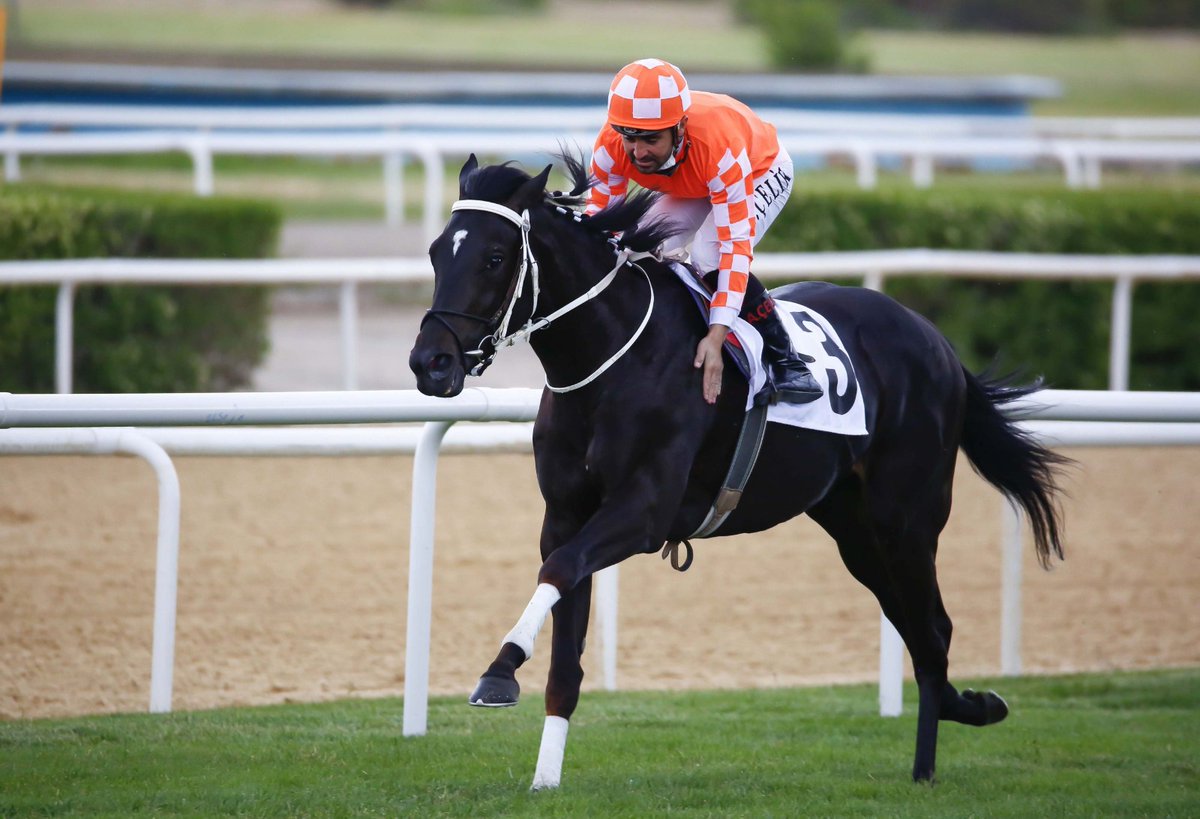 hipodromtr's tweet photo. ⚫ 2021 Gazi Koşusu şampiyonu Burgas'ı kaybettik...

🏇 41 Koşu
🥇 22 Birincilik
👑 10 Grup 1 Birinciliği
⭐ 5 Grup 2 Birinciliği
✨ 4 Grup 3 Birinciliği
🏆 3 G1 Haliç Koşusu Galibiyeti https://t.co/CWLjzzjlWJ