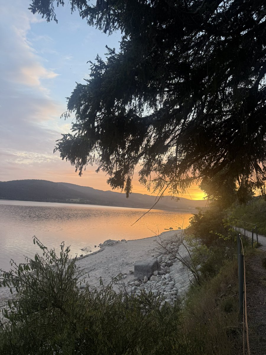 whtthehellim's tweet photo. Günayd . sevgilimle Titisee schwarzwald turundayız . Bir kamp alanındayiz . İKimizde aşiri mutluyuz . sabah duş almak yerine suya atladik . gece ördekler aracimizin dibinde uyuyor . her şey müko . https://t.co/UwrbpGUVmv