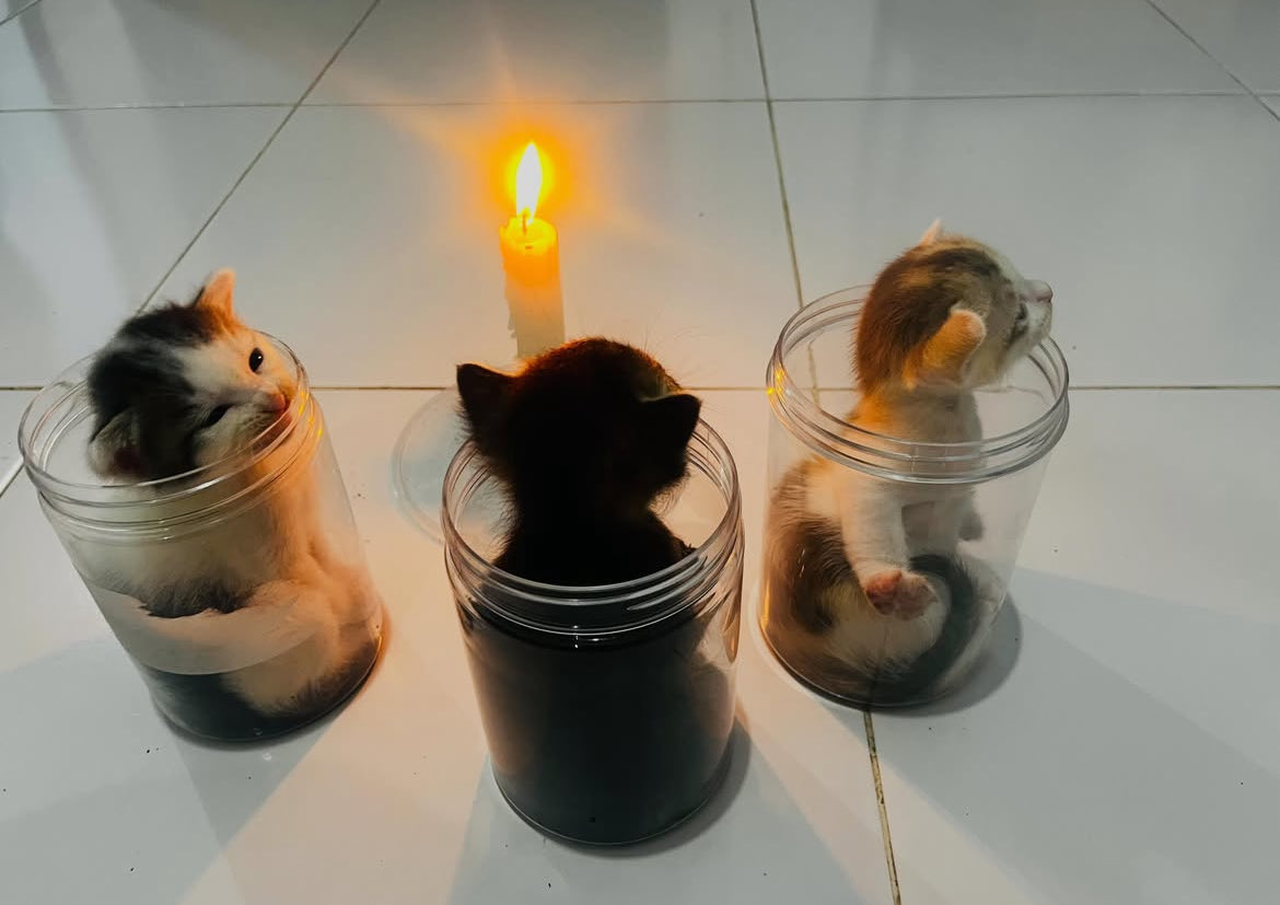cewekpusink's tweet photo. lagi pada ngepet https://t.co/uHorL8bXG5