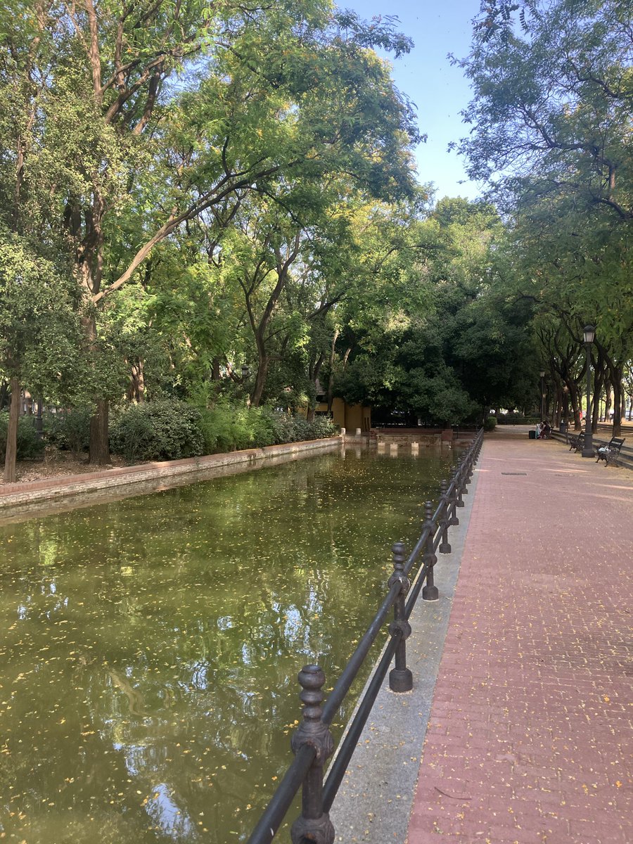 ecopsico's tweet photo. Estado lamentable del estanco del parque del Prado de San Sebastián con patos y crías dentro  @Ayto_Sevilla @JuanMa_Moreno https://t.co/Jgg6aklRQz