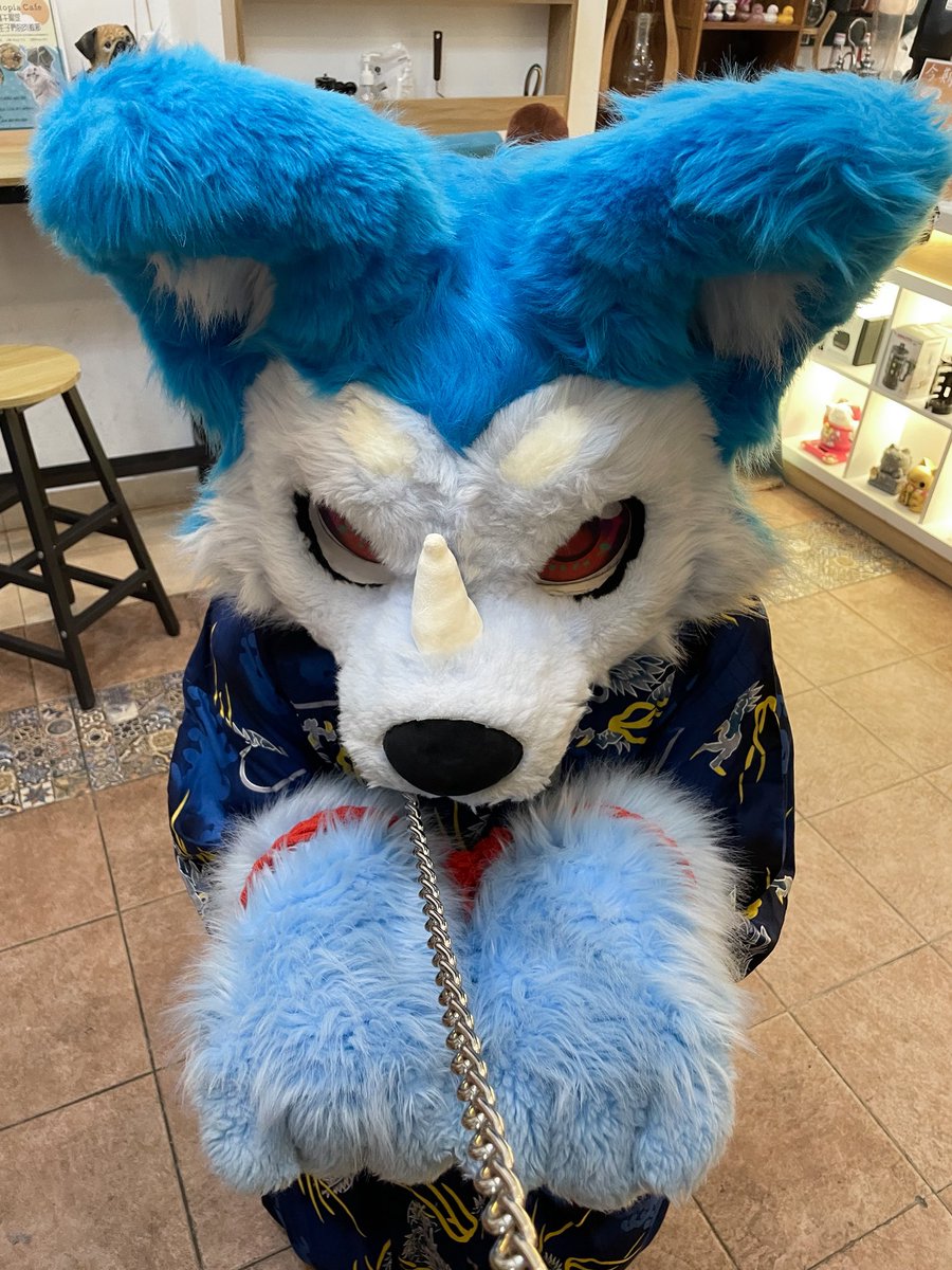 KarBi_theWolf's tweet photo. 🐻‍❄️：你究竟偷吃了多少個粽子！😡🫵🏻
🐺：窩……窩也不知道🫣

#FursuitFriday
📸：@takuma__0104 https://t.co/Z2yY46joeJ