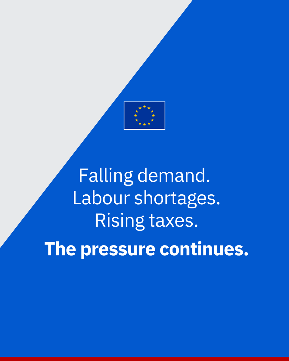 EUinSA tweet picture