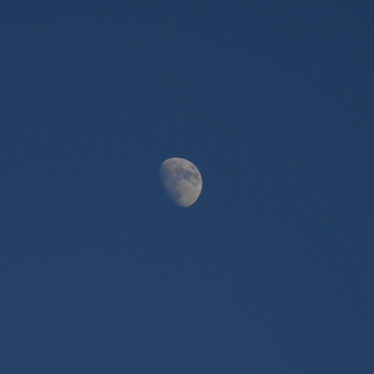 _CosmicRey_'s tweet photo. @rahimfaid1 @astrojeff_ @haprho The moon's phases are directly related to the sun.

Do you think the moon should be as hot as the sun if it's reflecting sunlight? If so, the earth's surface would be as hot as the sun according to you.

Also, the entire lightning bug is reflecting sunlight. https://t.co/nMiEyGIYuY