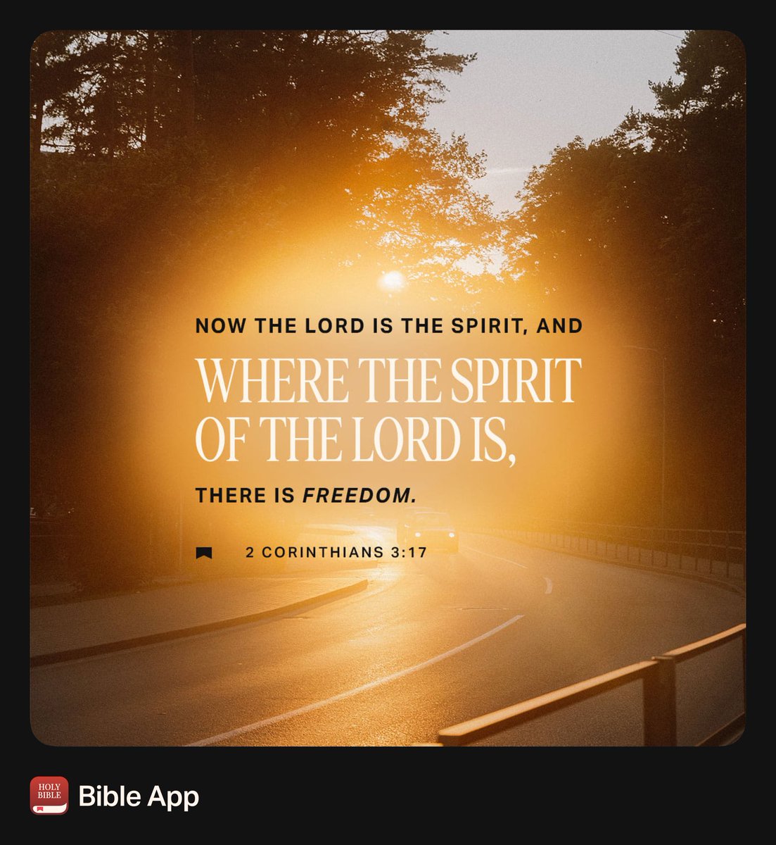 DTAnstey's tweet photo. When you follow Jesus, God’s Holy Spirit dwells within you and gives you a true sense of freedom (and peace, and joy, and so much more!) ✝️🕊️🙏🏻 #Spirit https://t.co/ZuqAVrtdsZ