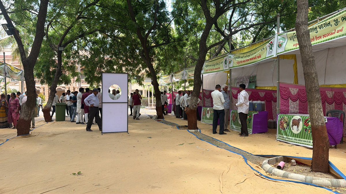 pdatmabharuch's tweet photo. ૧૨ વર્ષ સુશાસનના હેઠળ વિકસિત ભારત સંકલ્પ સંમેલન અંતર્ગત પ્રાકૃતિક કૃષિ પરિસંવાદ - વ - પ્રદર્શન ભરૂચ જિલ્લાના ઝાડેશ્વર ખાતે આયોજિત કરીને ઉપસ્થિત ખેડૂતોને માર્ગદર્શન પૂરું પાડવામાં આવ્યું.

@GujAgri
@CollectorBharch
@DDOBHARUCH1 https://t.co/84SwcK669O