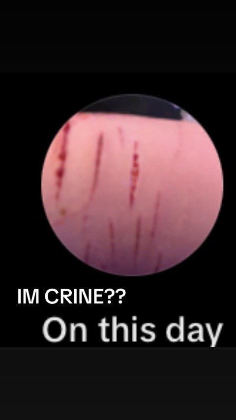ffawunn's tweet photo. IM PISSING MYSELF https://t.co/OfNsz0RIut