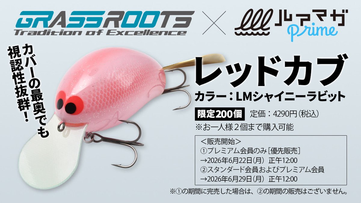 ダイワ　アルトモアxプレミアム限定　未使用