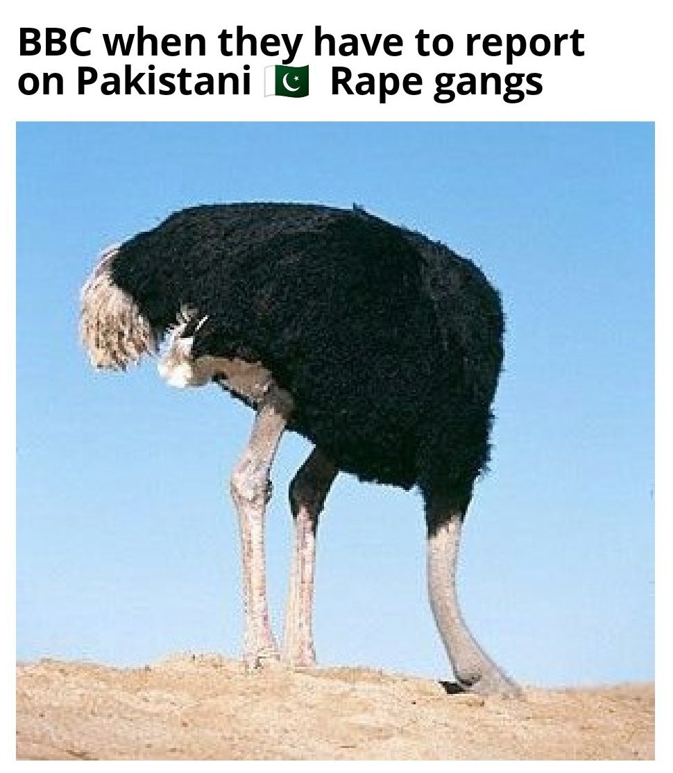 TanyaaDave's tweet photo. BBC when they have to report on Pakistani 🇵🇰 grooming gangs https://t.co/T375DZ75ly