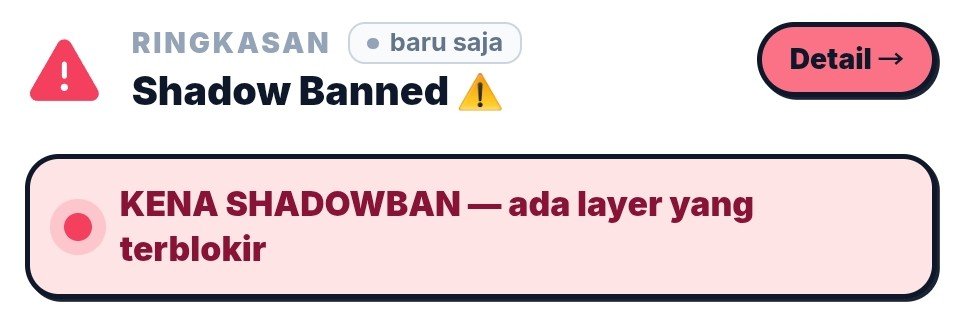 salsaaaaa tweet media