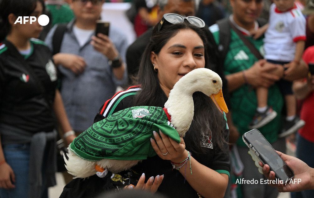 AFP News Agency tweet media