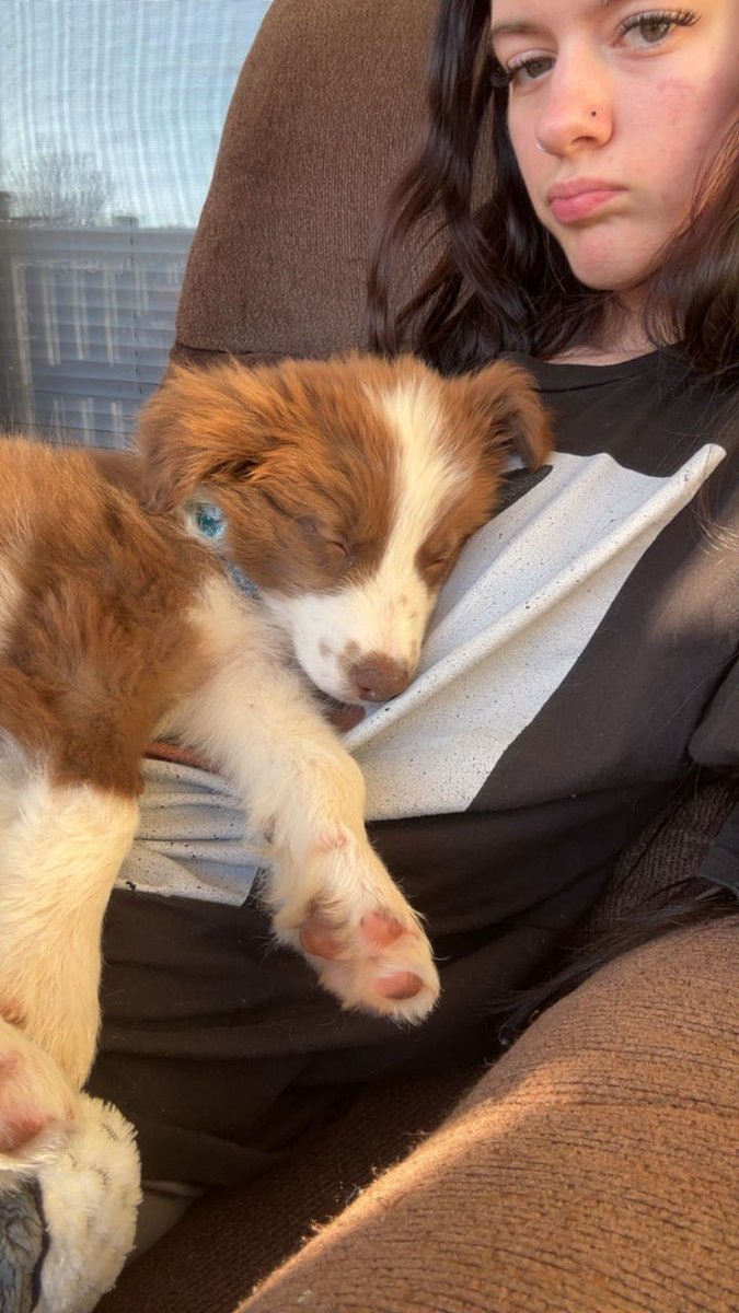 PiperGray90's tweet photo. not moving anytime soon https://t.co/dvOMWVWybG