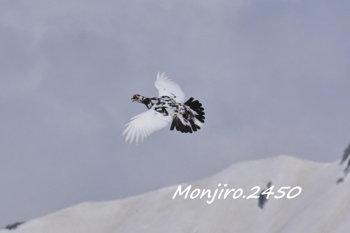 Happy_landing55's tweet photo. 今日は フライデー🐦 
あぁ゛ぁ゛静かな山へ行きたい 行きたいょぉ
そうだ！ 他の⛰️ へ行けばいいだけだ📸 https://t.co/0D64Ska0ld