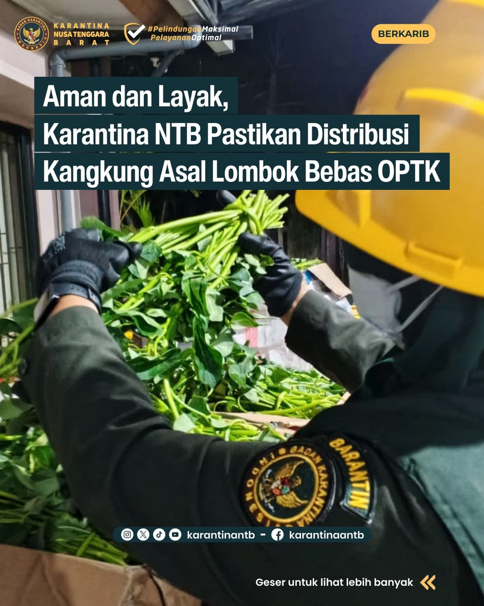 karantinantb's tweet photo. Aman dan Layak, Karantina NTB Pastikan Distribusi Kangkung Asal Lombok Bebas OPTK

Selengkapnya kunjungi https://t.co/jGK4lyBt3A

#karantinantb
#PelindunganMaksimalPelayananOptimal https://t.co/5nVF28iaOU