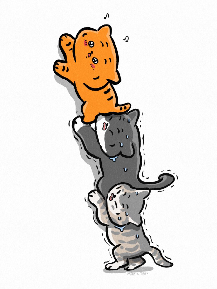 muziktiger's tweet photo. 저 위에 뭔가 있다니까🐯💦

#고양이는이상해 #cats #고양이 https://t.co/w5LLO6nIod