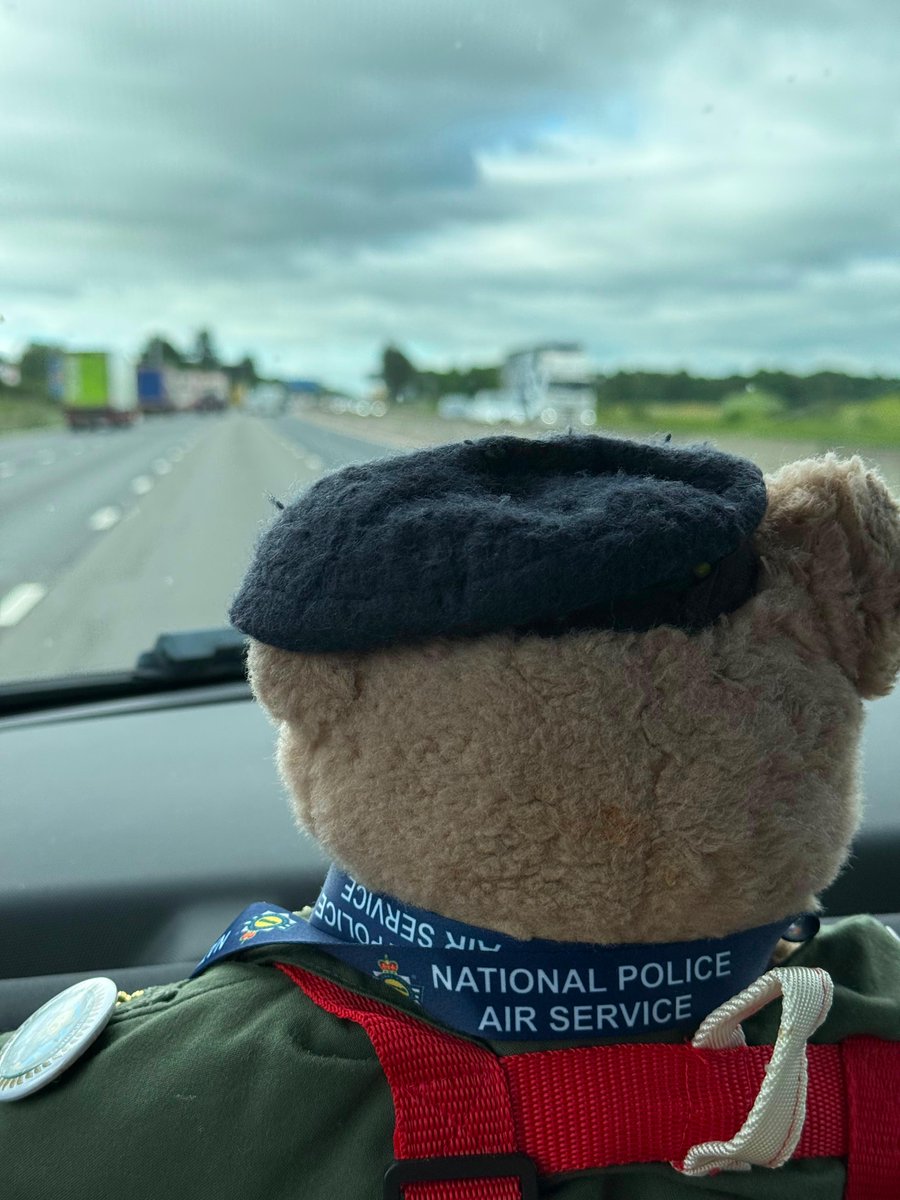 Richard48535122's tweet photo. We're on our way to @Yourallypally @FriendsAllyPark for the #redbullsoapboxrace
🧸🧸😍🛩️🛩️🥇🥇😍
#TeamTexan72 from @AscentFlight @RAF_Valley heading 'down south' 
@RedBullUK 
#BearForce01
#BearForce

https://t.co/MMeFOu5LuI

#charity
#giveusyourchangetomakeachange https://t.co/HNvFrmdSRi
