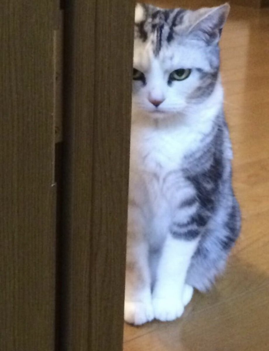 after_antho's tweet photo. Du coup @taylorswift13 debut TV pour aujourd’hui ? On est d’accord ? https://t.co/pMZtD7jHHf