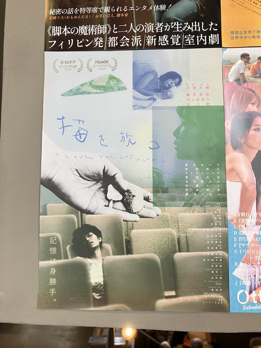 映画パンフレット147冊　　　　　　(更に更に値下げしました) 猫を放つ』本日より🎞️ パンフレットには撮影台本も掲載📗本作に寄せ