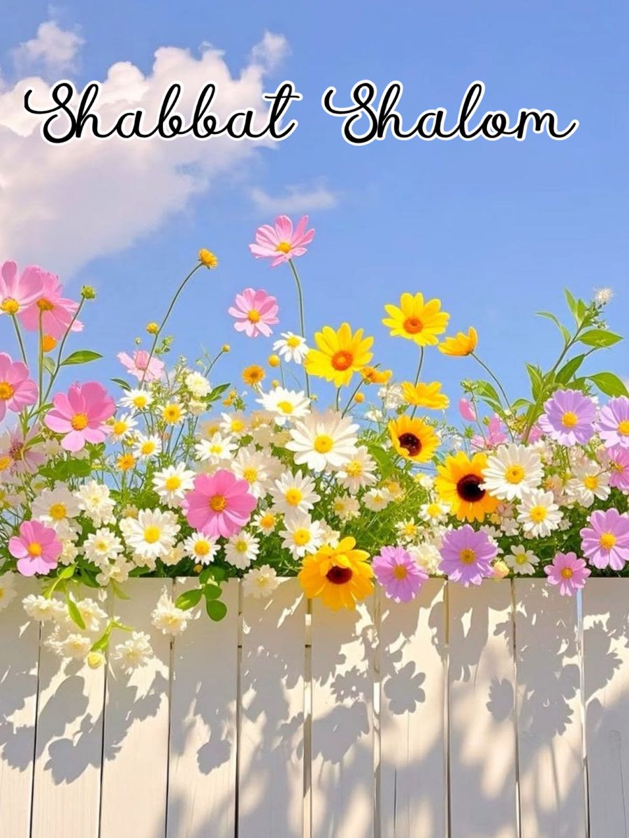 DMeranien's tweet photo. @ScharfBerel Shabbat Shalom, dear Rabbi 🙏🕯️🕯️🍞🍞🍷🕍❤️ https://t.co/7ccxeY5qXI