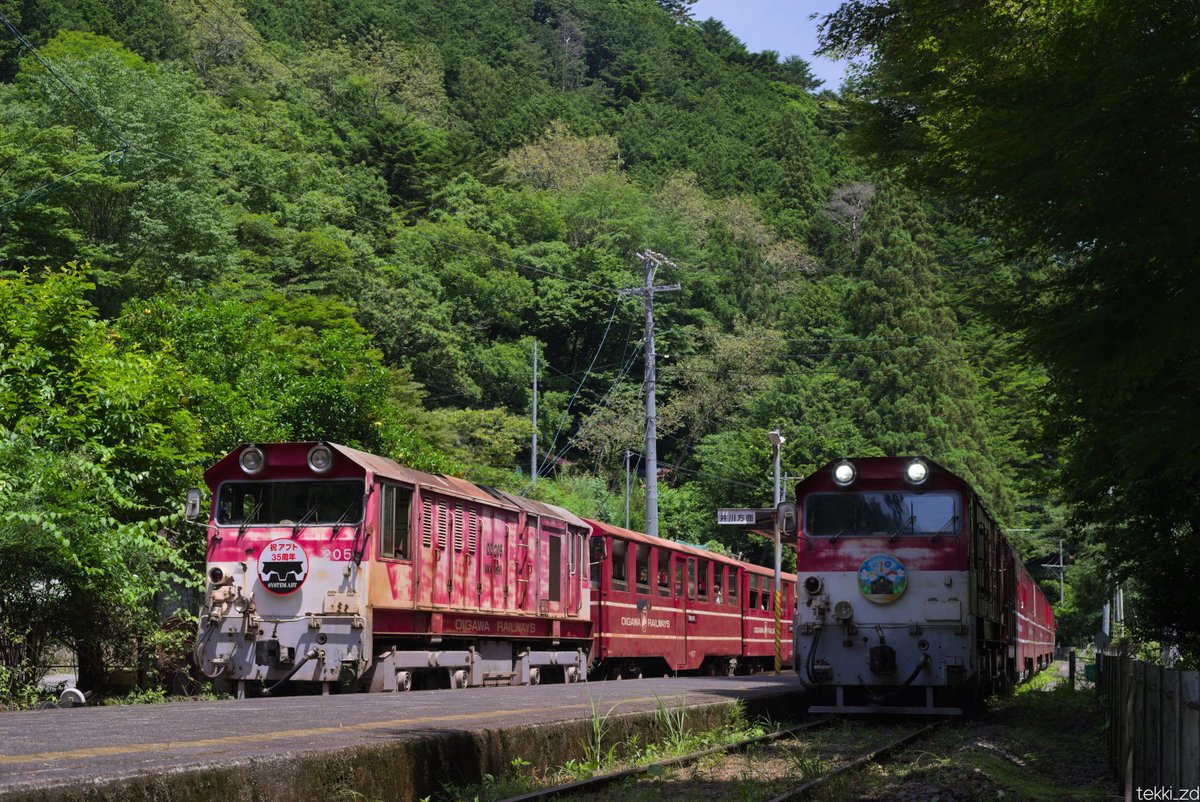 tekki_zd's tweet photo. 大井川鉄道 井川線
1067mmの山岳鉄道
日本では希少な定期客レとも言える。
新緑の中を赤い汽車が走っていった。

Япония, Сидзуокаская Область, Игаваская УЖД, Нагасимаская ГЭС https://t.co/7P30lQRhhN