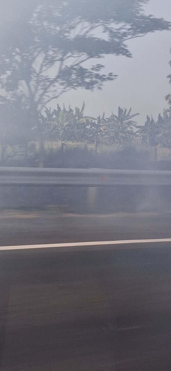 koen2907's tweet photo. Ada asap cukup tebal di sekitar KM 140 arah Cirebon, kebakaran di lahan samping tol. Asap masuk ke dalam tol. 
@ASTRATolCipali https://t.co/VRPjKPpDJH
