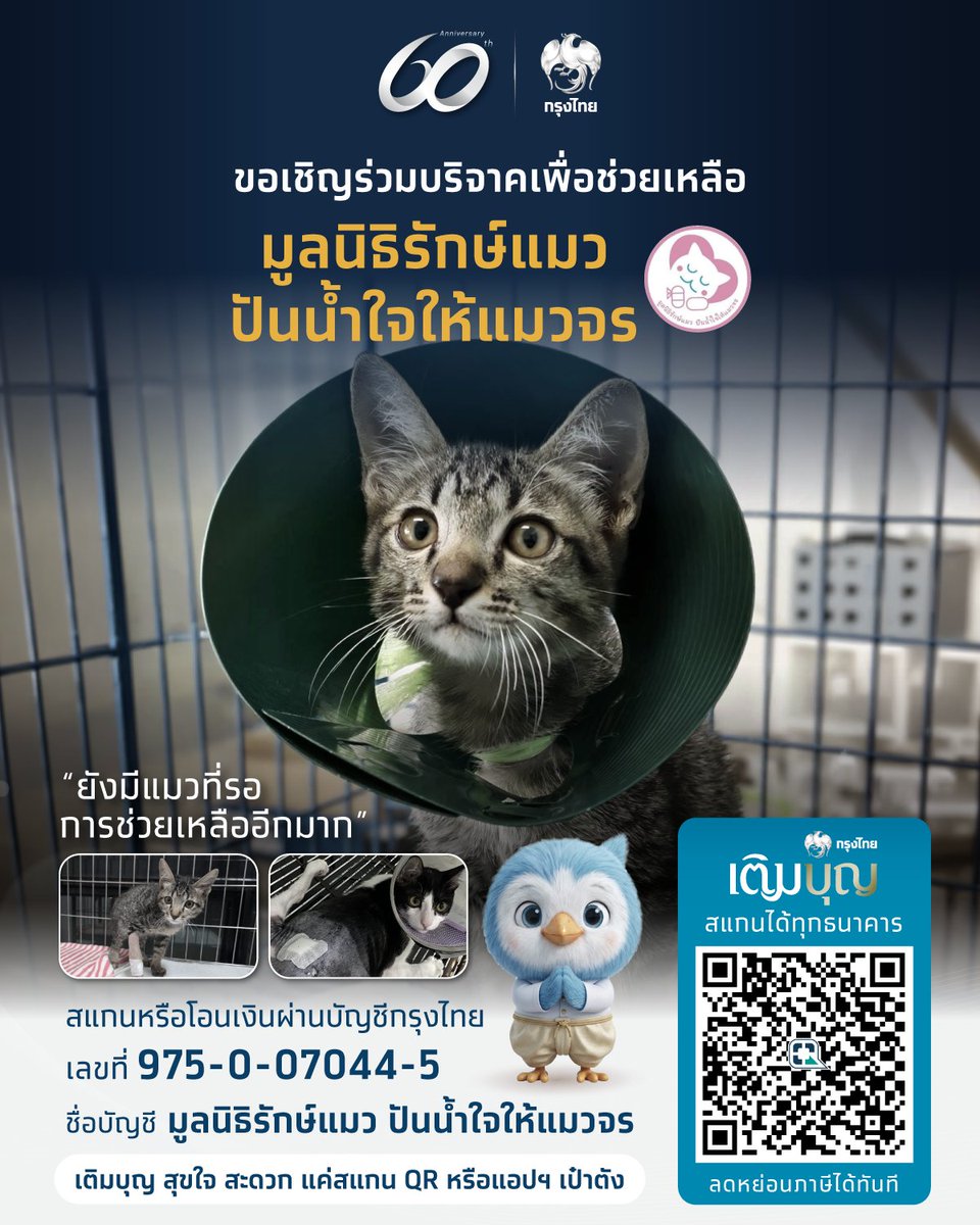 Krungthai_Care's tweet photo. ใครรักแมว ยกมือขึ้น 🙋‍♀️💙 
รู้ไหมว่าตอนนี้ยังมีน้องแมวจรอีกมากมายที่รอการช่วยเหลือ 
ไม่มีบ้านให้อุ่นใจ ต้องคอยหาที่หลบฝน หลบแดด 
และบางทีก็ต้องอดอาหารไปหลายมื้อ 🐾

เพียงคุณแบ่งใจให้นิดนึง…ก็เท่ากับมอบโอกาสให้น้องได้อิ่มท้อง และมีโอกาสได้บ้านที่อบอุ่นไปพร้อมๆ กัน 🏠💖

ทุกๆ การช่วยเหลือของคุณ คือการเปลี่ยนชีวิตของน้องแมวจรให้ดีขึ้นอีกหลายเท่า 🐱✨

กรุงไทยเติมบุญ ขอเชิญร่วมบริจาคให้กับมูลนิธิรักษ์แมว ปันน้ำใจให้แมวจร 
ร่วมปันน้ำใจให้พวกเขาได้ผ่านการสแกน QR Code  
หรือบริจาคผ่านเลขบัญชีธนาคารกรุงไทย 975-0-07044-5 
ชื่อบัญชี มูลนิธิรักษ์แมว ปันน้ำใจให้แมวจร 
เติมบุญสุขใจ สะดวก แค่สแกน QR หรือแอปฯ เป๋าตัง 

#กรุงไทยเติมบุญ #มูลนิธิรักษ์แมวปันน้ำใจให้แมวจร #krungthai #กรุงไทย