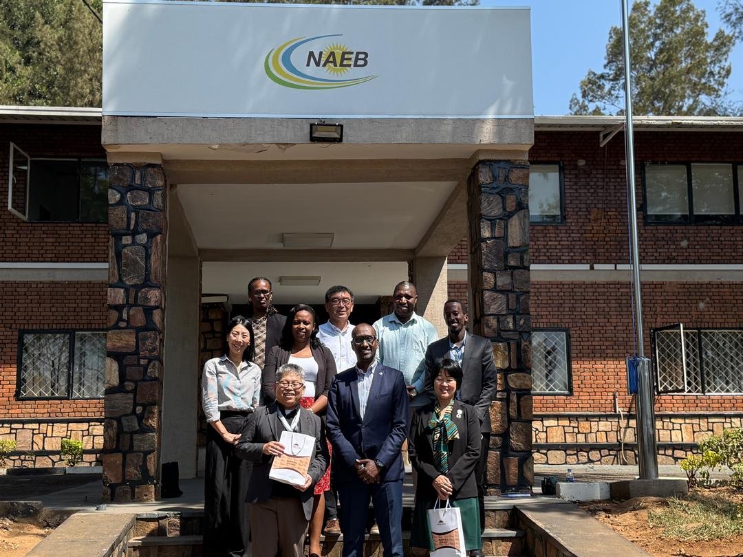 JicainRwanda's tweet photo. On Wednesday June 17th , Ms. Shiotsuka Minako and Mr. SAKAMOTO Atsuki (respectively the outgoing and incoming Chief Representatives of JICA Rwanda Office), held a productive meeting with the leadership of NAEB (CEO and COO).    

The discussions focused on further strengthening our long-standing partnership, including advancing data-driven extension through the Rwanda Coffee Digital School, promoting the Mibirizi variety as Rwanda’s premium specialty coffee, and scaling up proven cooperative development models.

Both sides reaffirmed their strong collaboration and shared commitment to enhancing the competitiveness and global recognition of Rwanda’s coffee sector” @RwandaAgri @RwandAgriExport @MinakoSHIOTSUKA @_claudebizimana