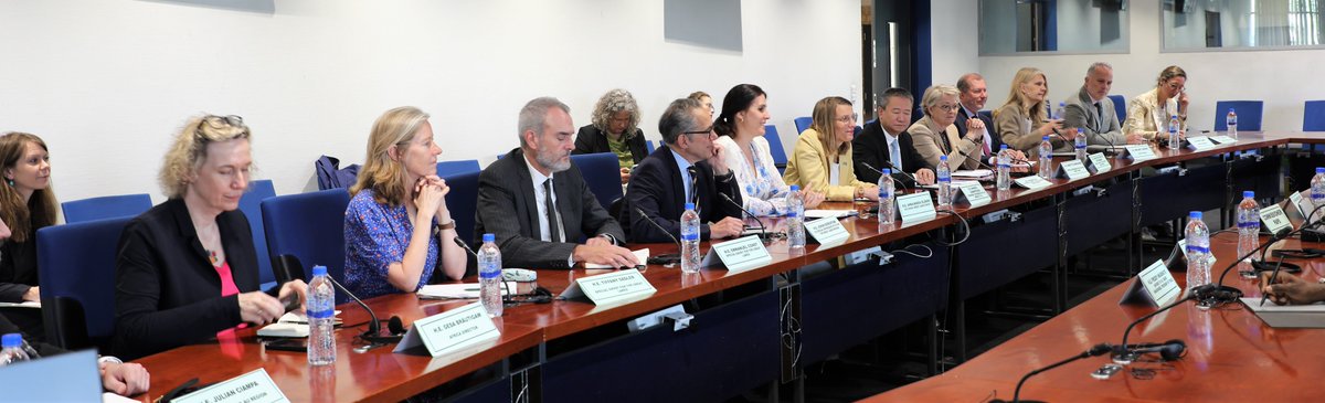 Bankole_Adeoye's tweet photo. Honoured to host today’s meeting with H.E. Sahle-Work Zewde (@SahleWorkZewde), AU co-facilitator for the Eastern #DRC 🇨🇩peace process, as she received the International Contact Group (#ICG) Envoys on the Great Lakes to advance dialogue on regional peace. Her leadership continues to be vital for building lasting stability across the Great Lakes and Africa.