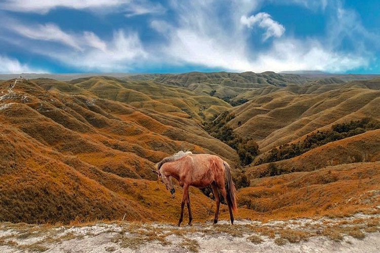 ustadchen's tweet photo. Sumpah kalo duitku banyak malah pengen liburan dalam Indonesia. Sumba, Raja Ampat, Labuan Bajo, Derawan, Morotai... https://t.co/KtKRChmokL