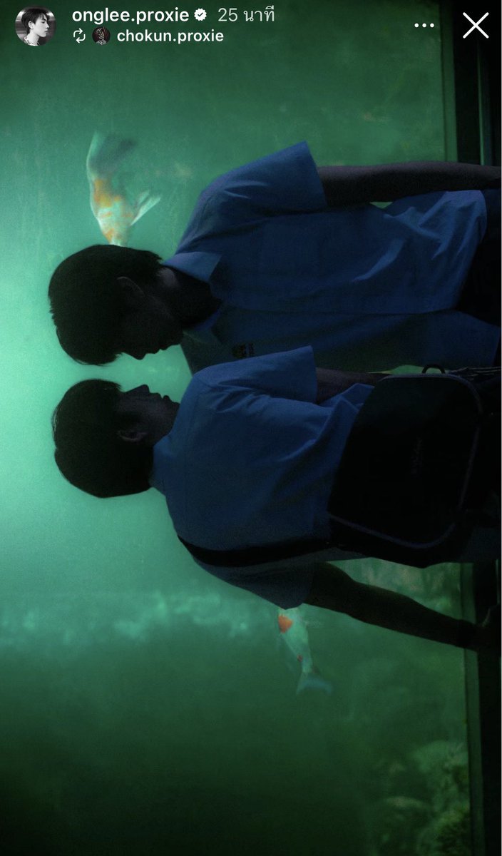 0403archive's tweet photo. ตาบุ๋น้องบิ๋ กะจะไม่ให้พวกฟ้าเขียวออกจากตู้ปลาเลยหรอ หายใจไม่ออกแล้ว บุ๋มบุ๋ม🫧🐠 https://t.co/b1tFY6QKSt