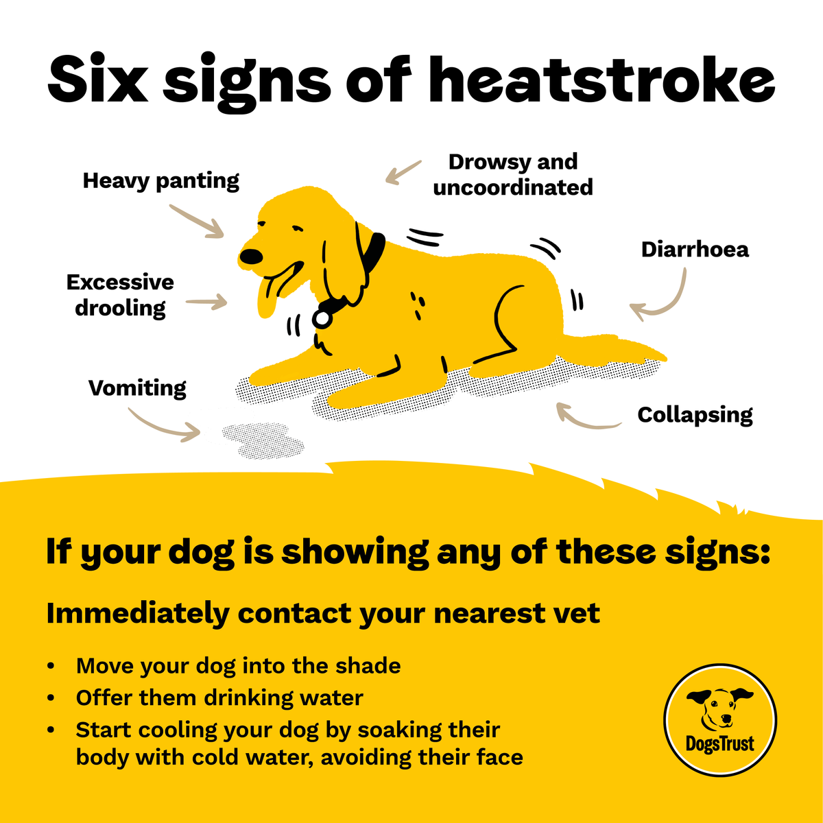 An infographic sharing 6 signs of heatstroke in dogs. These include heavy panting, excessive drooling, vomiting, drowsy and uncoordinated, diarrhoea and collapsing.