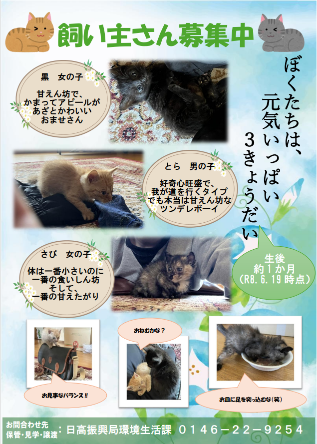 nanairohidaka's tweet photo. 【飼い主募集】
○静内保健所にて保管中
・子ネコ1匹(オス)
・生後約1ヶ月
・とら
・なでられることが大好き！
○環境生活課にて保管中
・子ネコ3匹(兄妹)
・生後約1ヶ月
・とら(オス)、黒(メス)、さび(メス)
・みんな甘えん坊！
見学や引き取りのご相談お待ちしております🐈

#ネコ #保護ネコ #野良猫 https://t.co/yaId9lVJZH