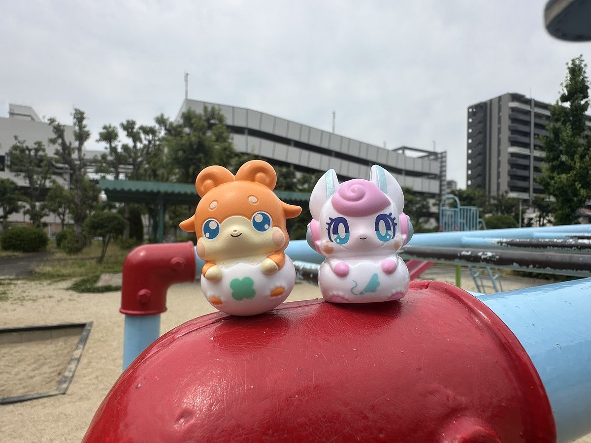 🫧泡と心🦈🦖🎸❄️📓🥁 tweet media