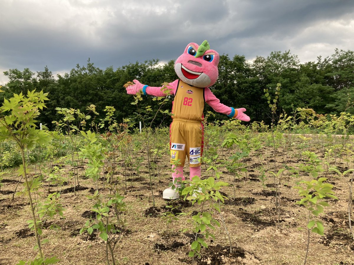 AKITA_NH's tweet photo. 【参加報告🐸】
本日、小坂町で行われた第16回 #DOWAの森「小坂・ふるさとの森づくり植樹祭」に #ビッキー が参加しました🌳

参加者約270人で力を合わせて、1,200本を植樹💪
これからも秋田県の豊かな自然を守っていくピョン♪

#akitanh https://t.co/gbb7agS4XG