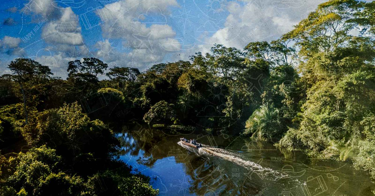 aviajarblog's tweet photo. Visitar Taman Negara: Guía para visitar la selva más antigua del mundo.
Taman Negara es mucho más que un destino de aventura: es un viaje a través de 130 millones de años de historia natural. Este Parque Nacional Taman Negara en #Malasia.
https://t.co/zQS6xi3LnS https://t.co/ef4o6PWNBw