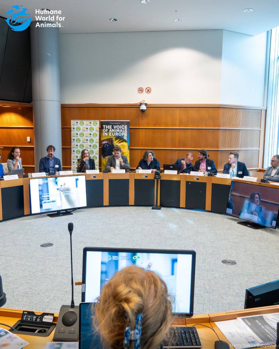 humaneworldeu tweet picture