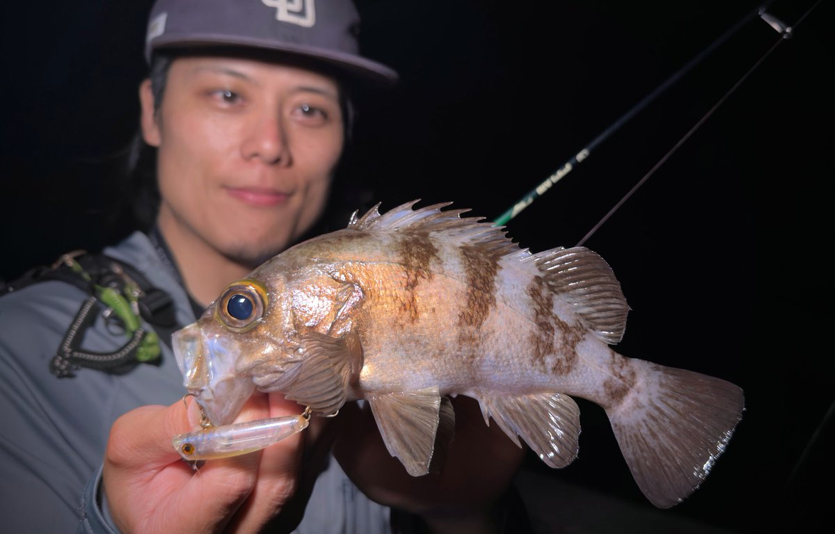 SLPG_Fishing's tweet photo. 古賀さんとお友達と夜遊び🎣
あんまり状況良くなかったけど
新発売のスネコン60S炸裂させてて流石すぎた🙂‍↕️買お

色々話せて楽しい時間になりました🙂‍↕️🙏
#グリッサンドコンベ56TT
#スネコン60S https://t.co/3qcdu4aeez