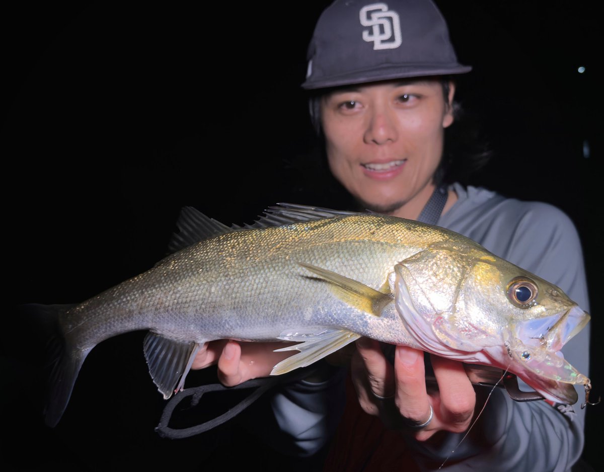 SLPG_Fishing's tweet photo. 古賀さんとお友達と夜遊び🎣
あんまり状況良くなかったけど
新発売のスネコン60S炸裂させてて流石すぎた🙂‍↕️買お

色々話せて楽しい時間になりました🙂‍↕️🙏
#グリッサンドコンベ56TT
#スネコン60S https://t.co/3qcdu4aeez