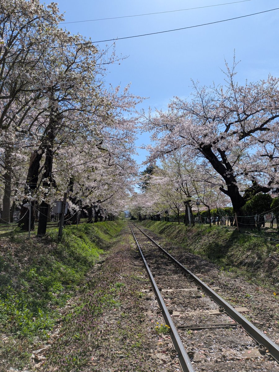 black29river's tweet photo. #絶対今日撮ってないって分かる写真をあげる見た人強制 https://t.co/wfxMGfOorR
